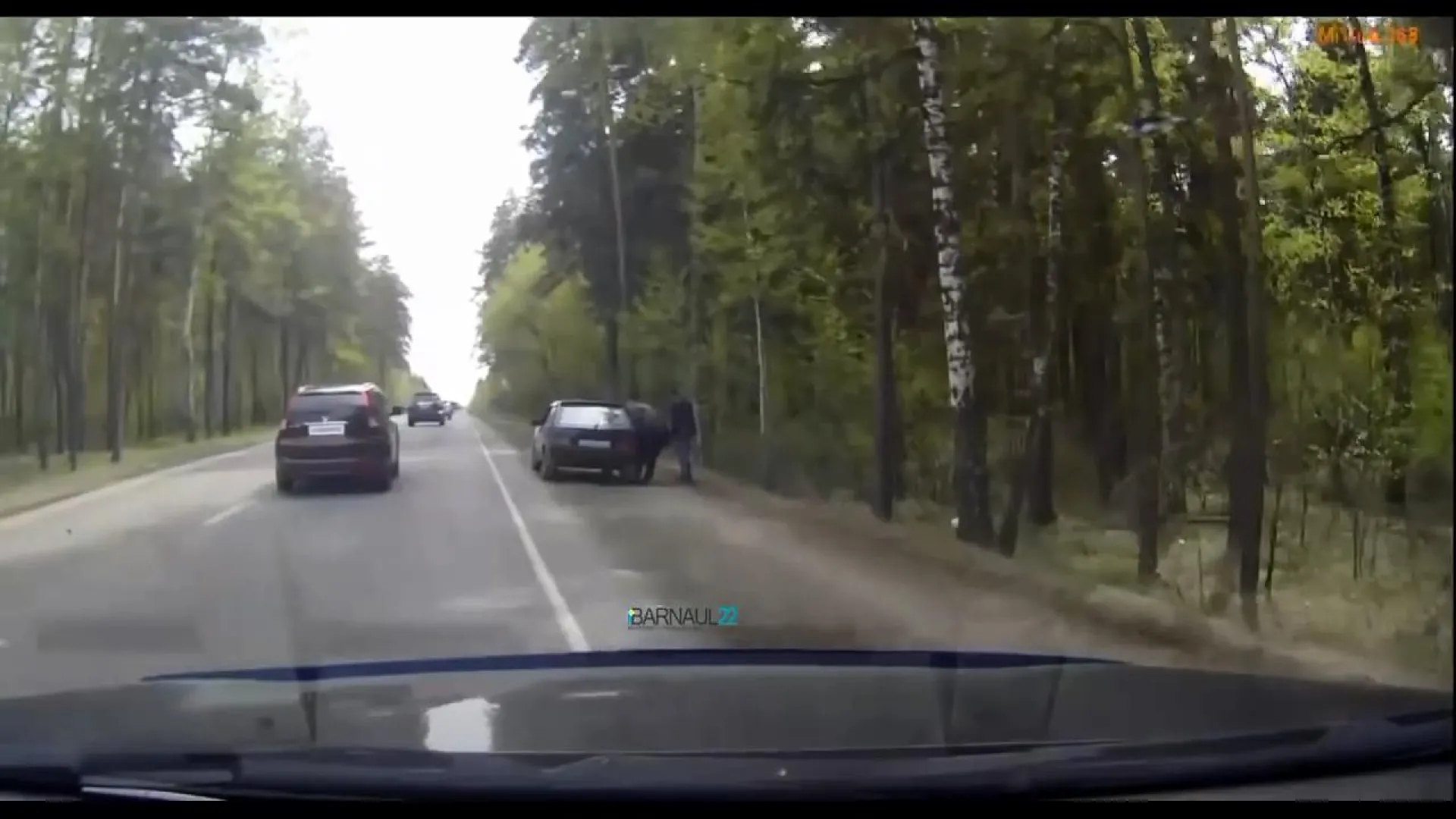 Видео: барнаулец заставил мужчин забрать мусор, который они выбросили в Ленточный бор Видео: барнаулец заставил мужчин забрать мусор, который они выбросили в Ленточный бор