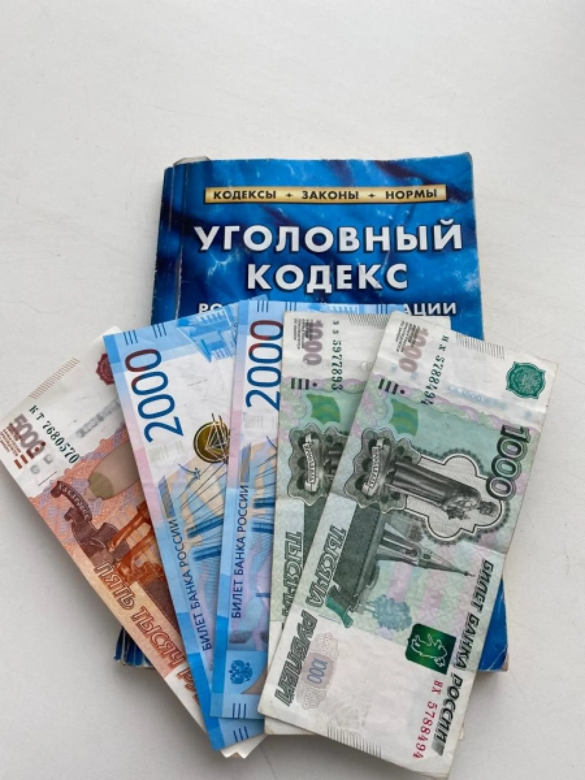 Барнаульца осудили на полгода за попытку дать взятку полицейскому