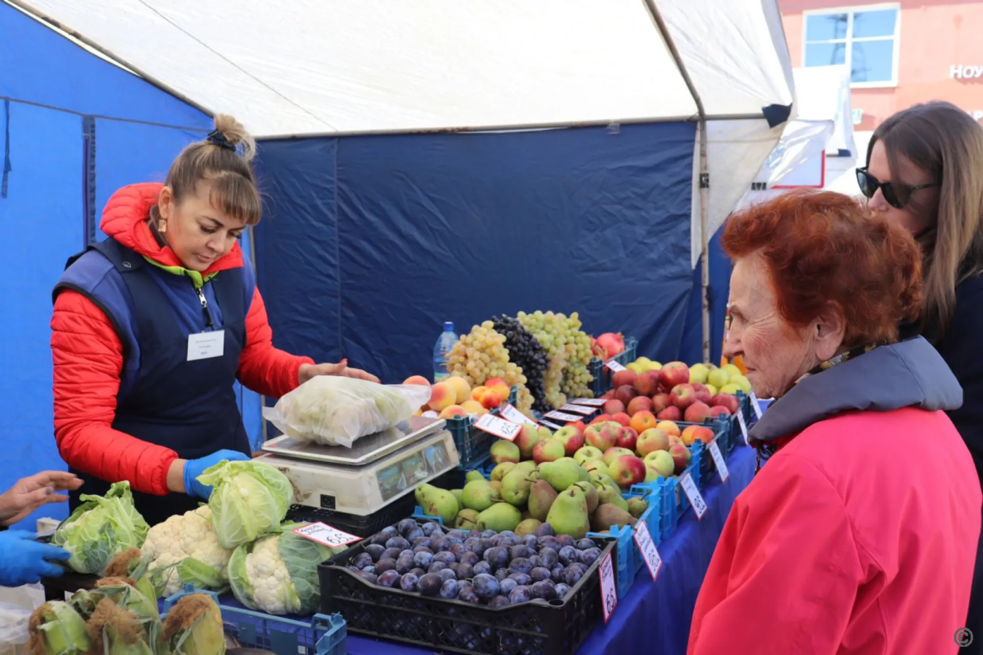 126 предпринимателей представили продукцию на осенней ярмарке в Барнауле