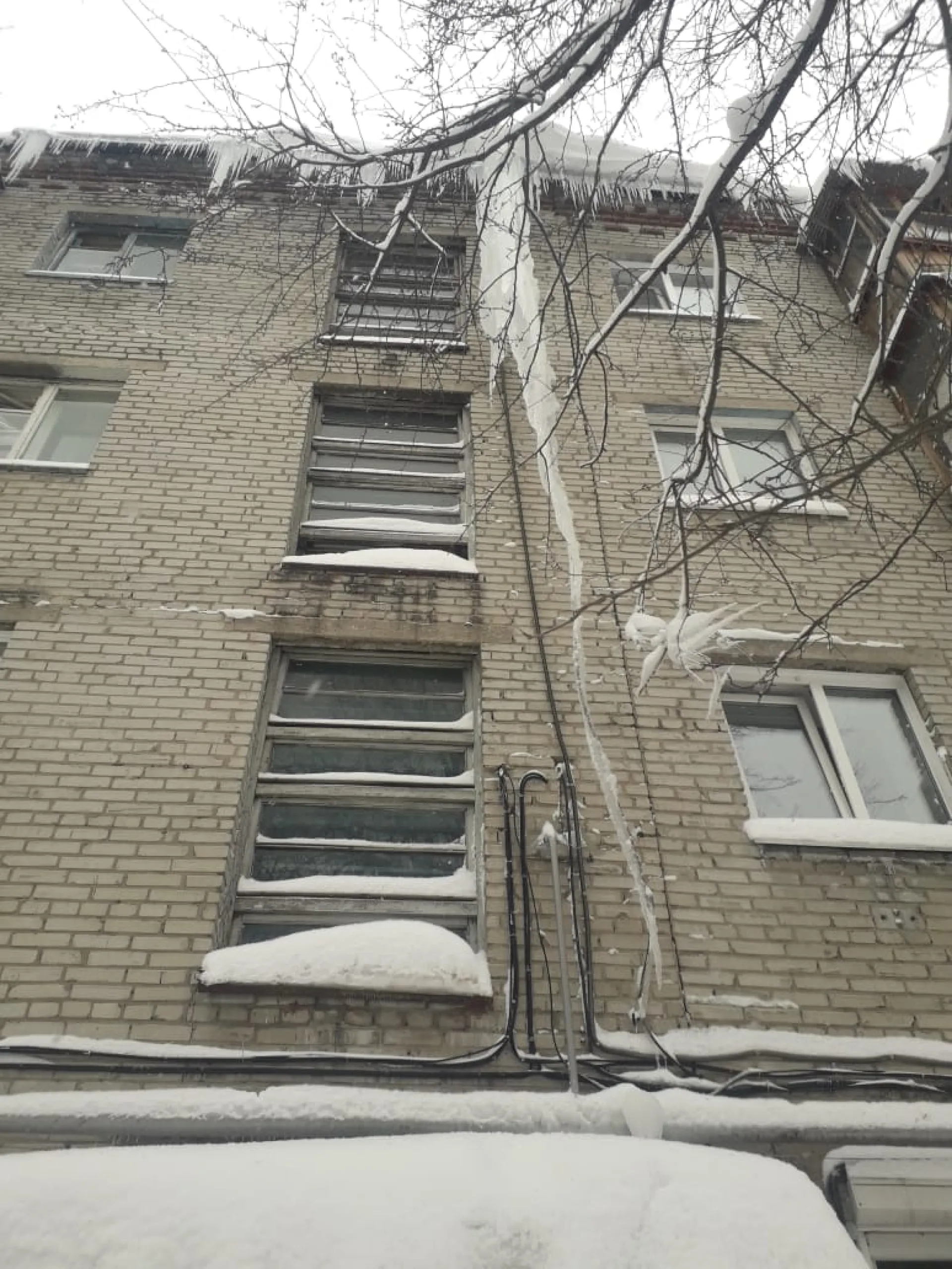 Жительница Барнаула поделилась фото гигантской сосульки Жительница Барнаула поделилась фото гигантской сосульки