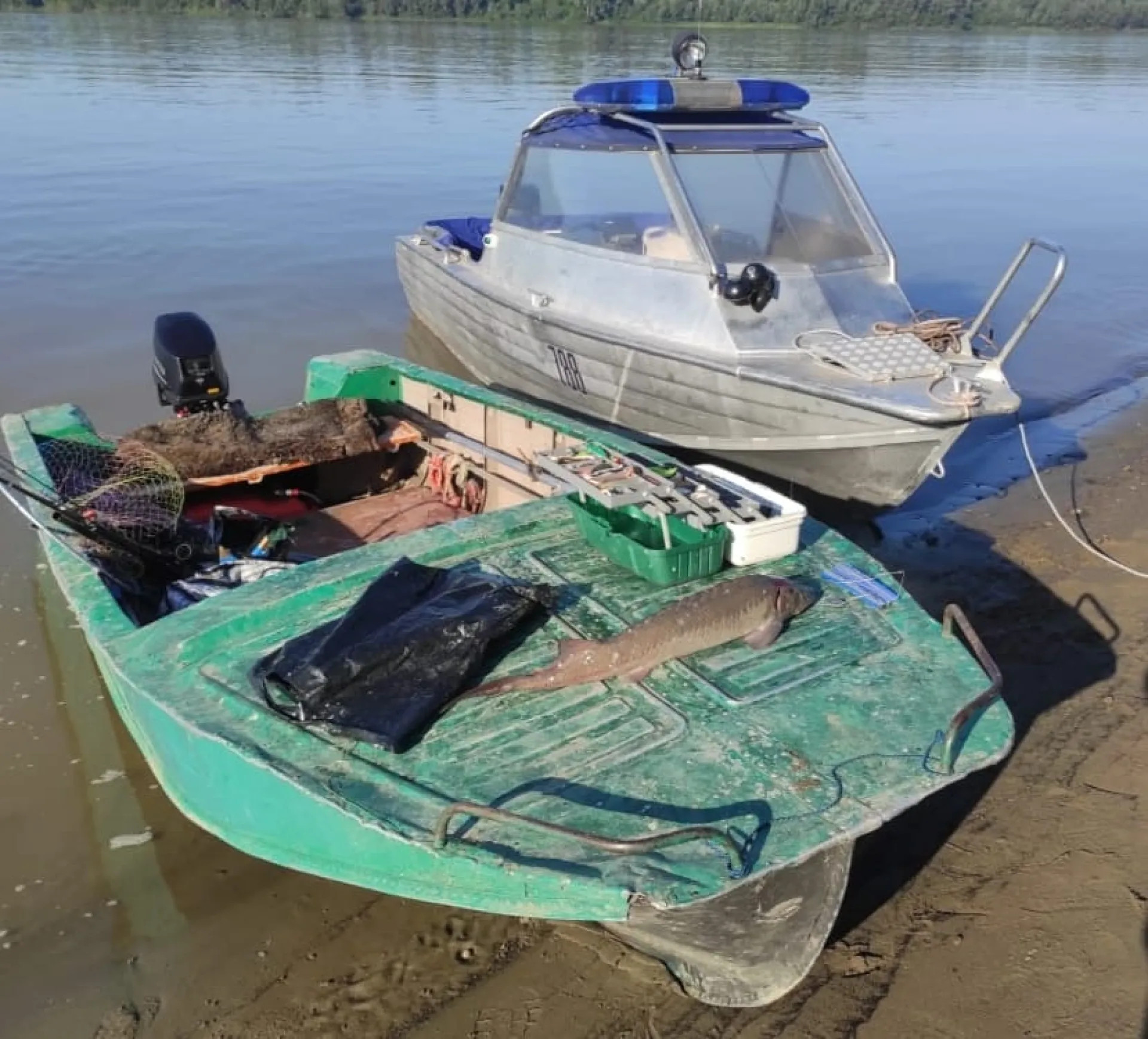 В Алтайском крае транспортная прокуратура направила в суд уголовное дело по факту незаконного оборота краснокнижного осетра В Алтайском крае транспортная прокуратура направила в суд уголовное дело по факту незаконного оборота краснокнижного осетра