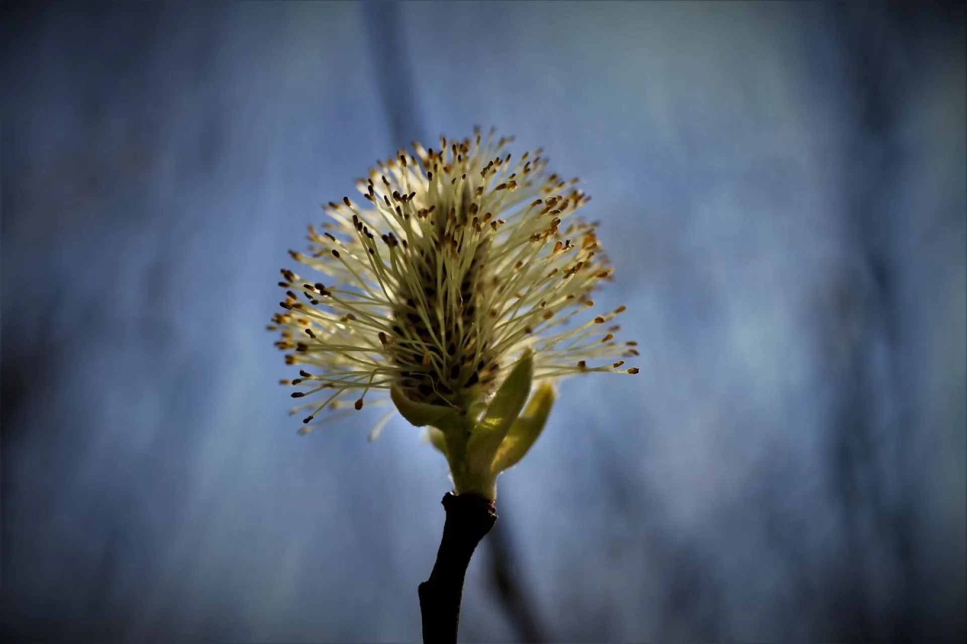 До +18: о погоде в Алтайском крае 5 апреля