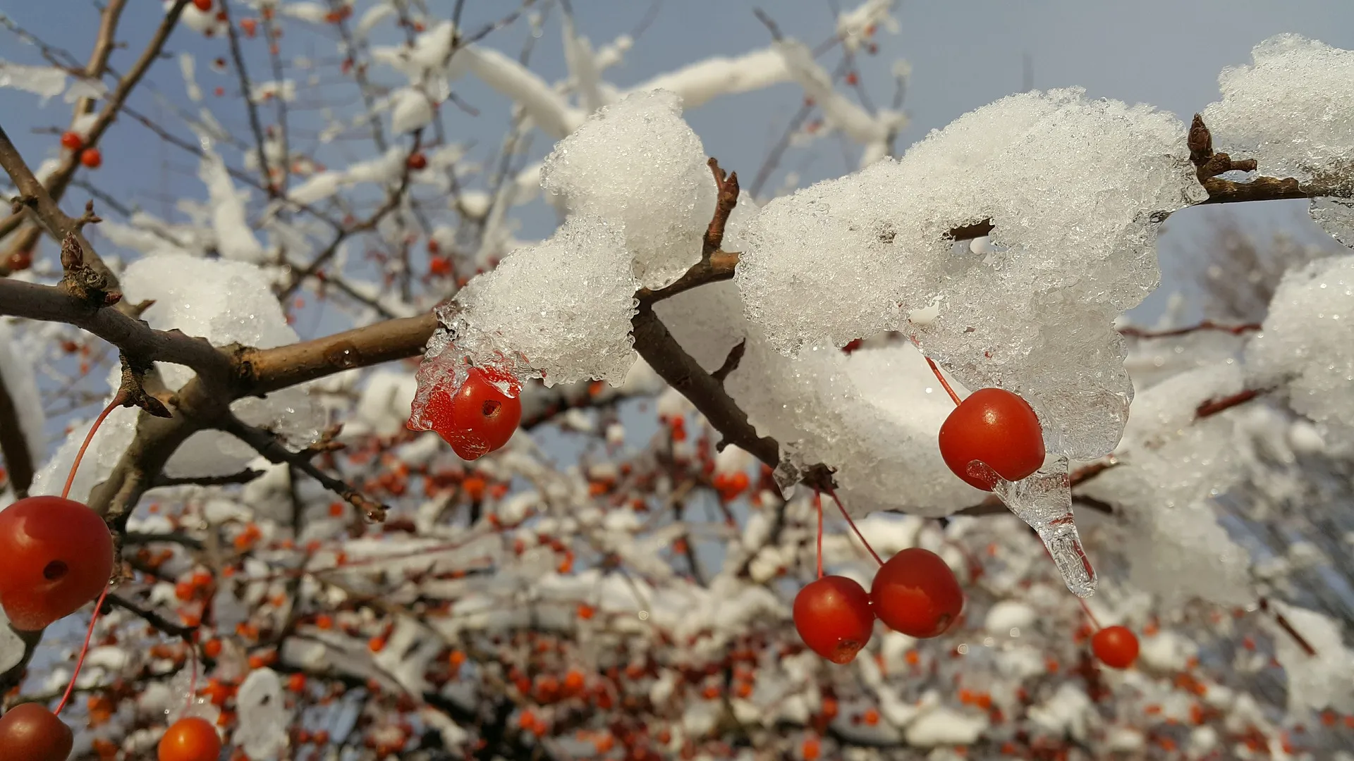 До +5: о погоде в Алтайском крае 7 марта