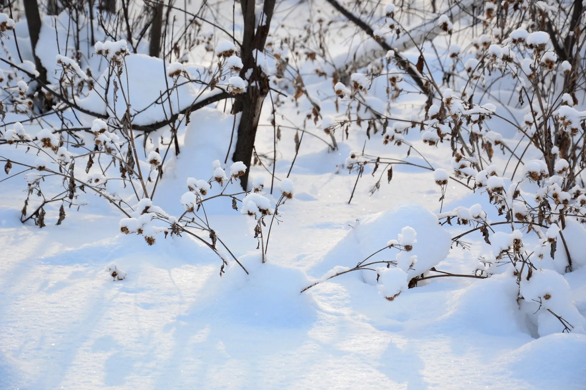 Матвеев день: традиции и приметы на 29 ноября Матвеев день: традиции и приметы на 29 ноября