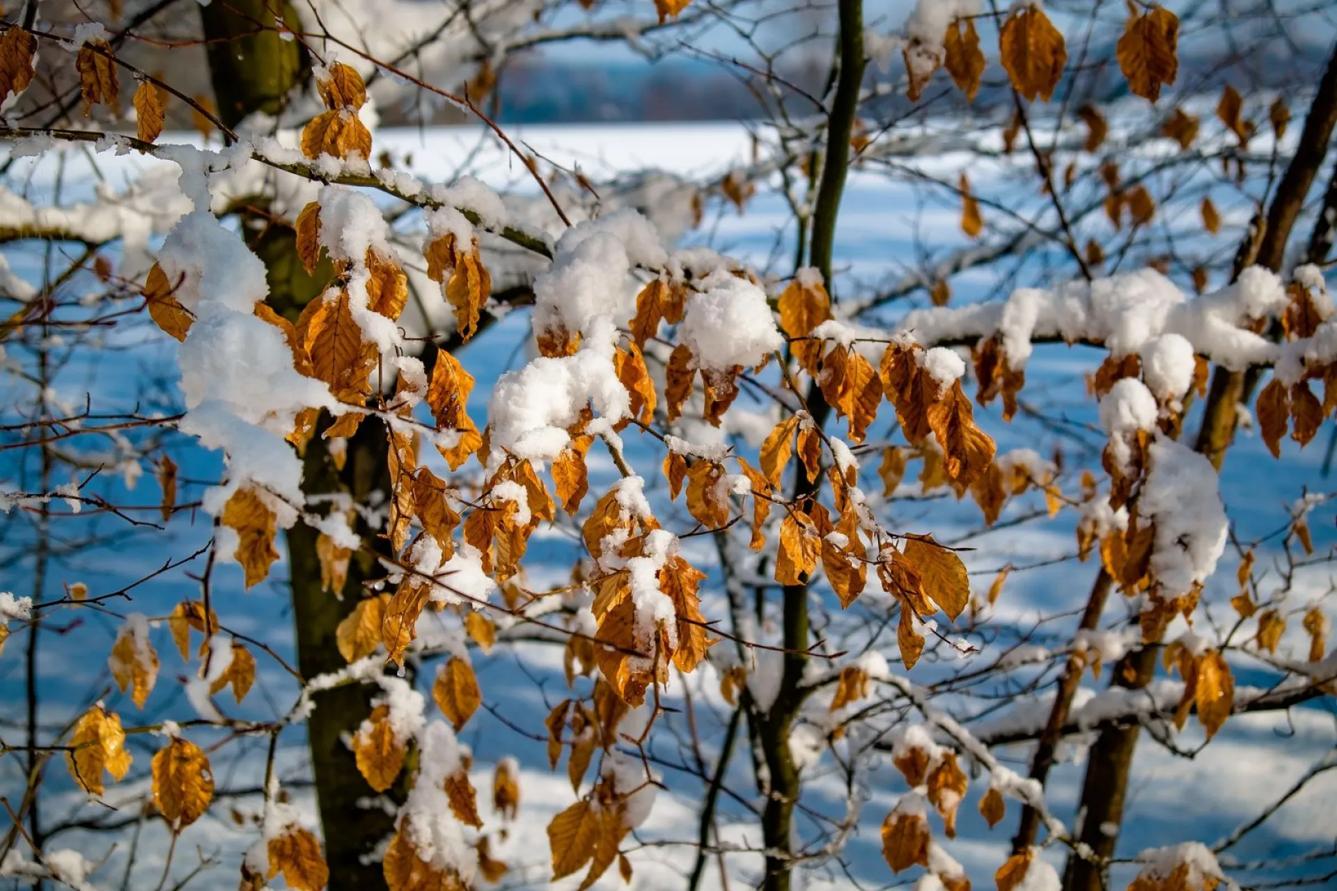 Архипов день: традиции и приметы на 4 марта Архипов день: традиции и приметы на 4 марта