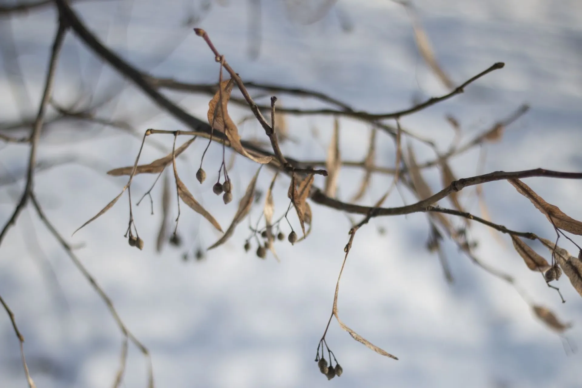 Константинов день: традиции и приметы на 19 марта Константинов день: традиции и приметы на 19 марта