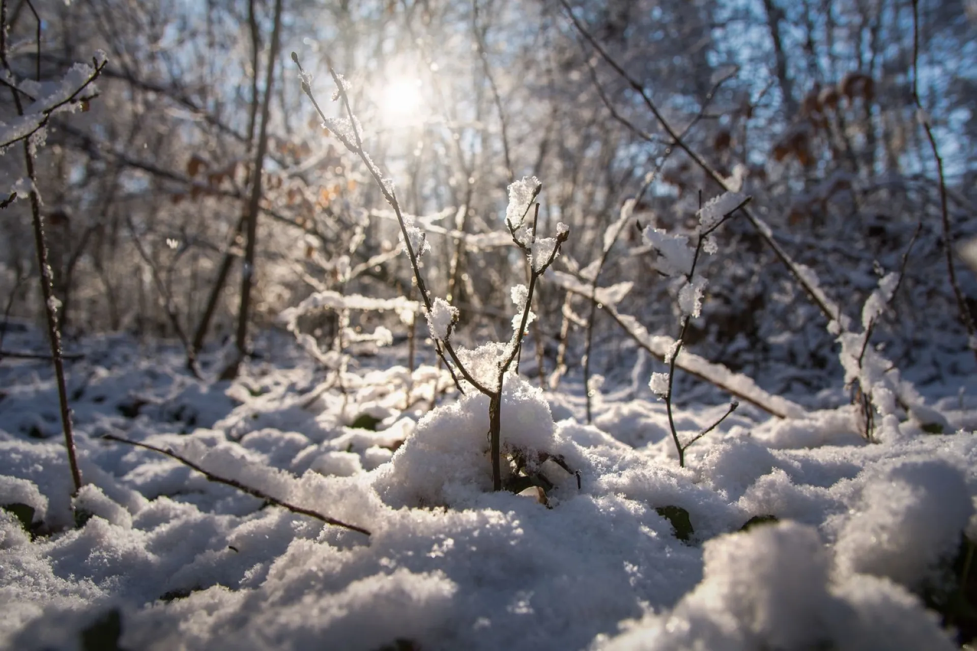 Небольшой снег: о погоде в Алтайском крае 18 декабря Небольшой снег: о погоде в Алтайском крае 18 декабря