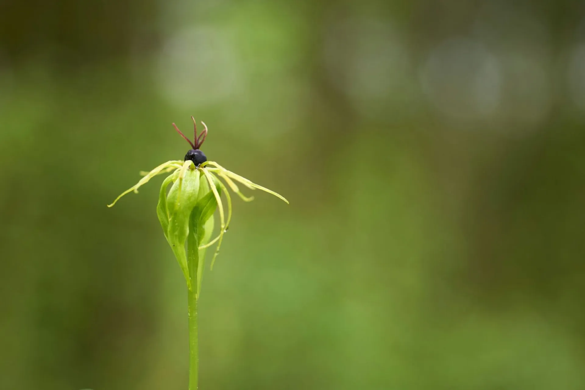 Благовещение Пресвятой Богородицы: традиции и приметы на 7 апреля