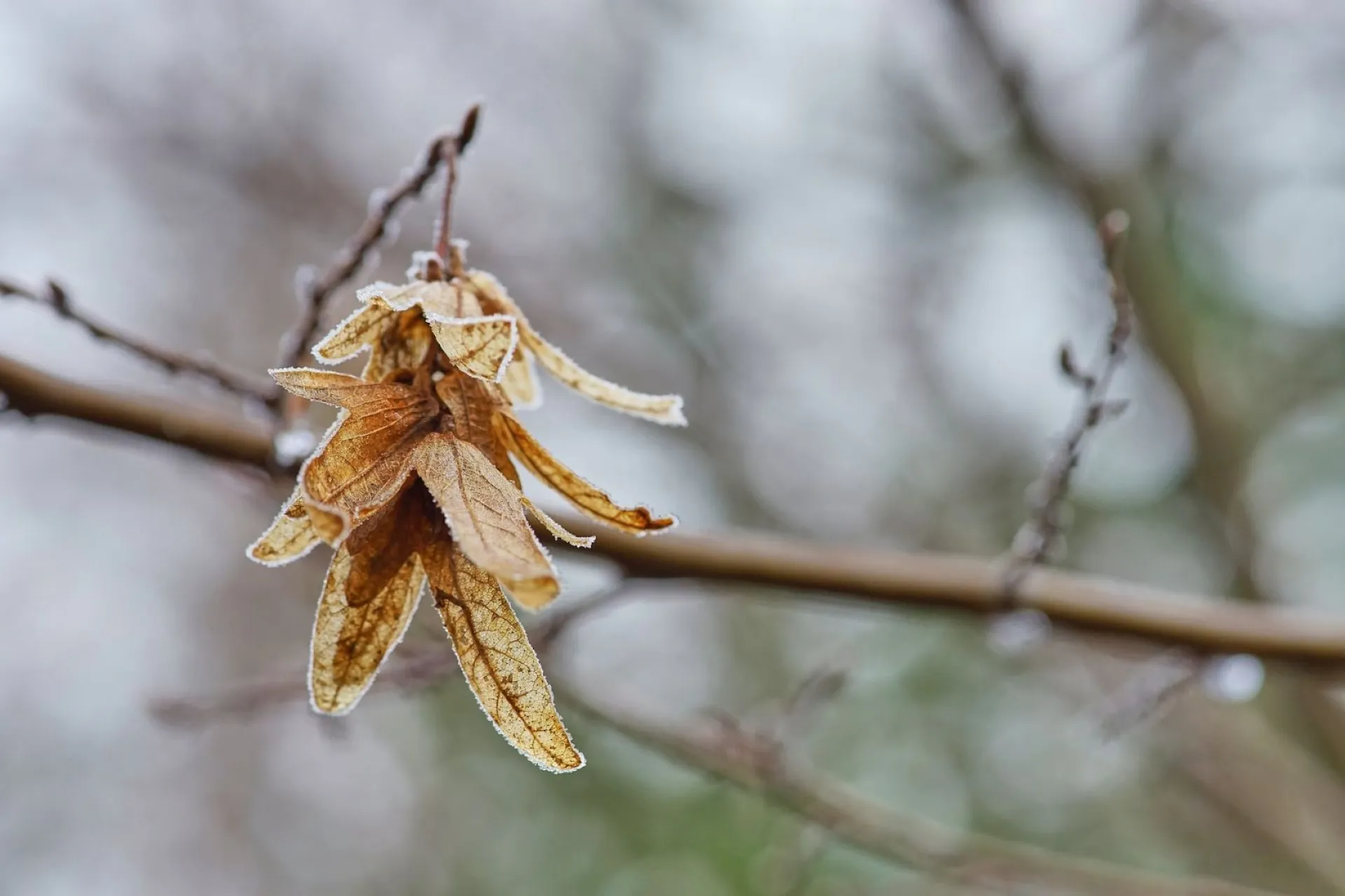 Илларионов день: традиции и приметы на 10 апреля Илларионов день: традиции и приметы на 10 апреля