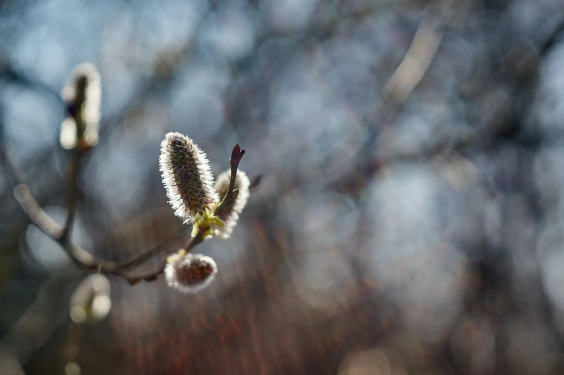 Иоанн Лествичник: традиции и приметы на 11 апреля Иоанн Лествичник: традиции и приметы на 11 апреля