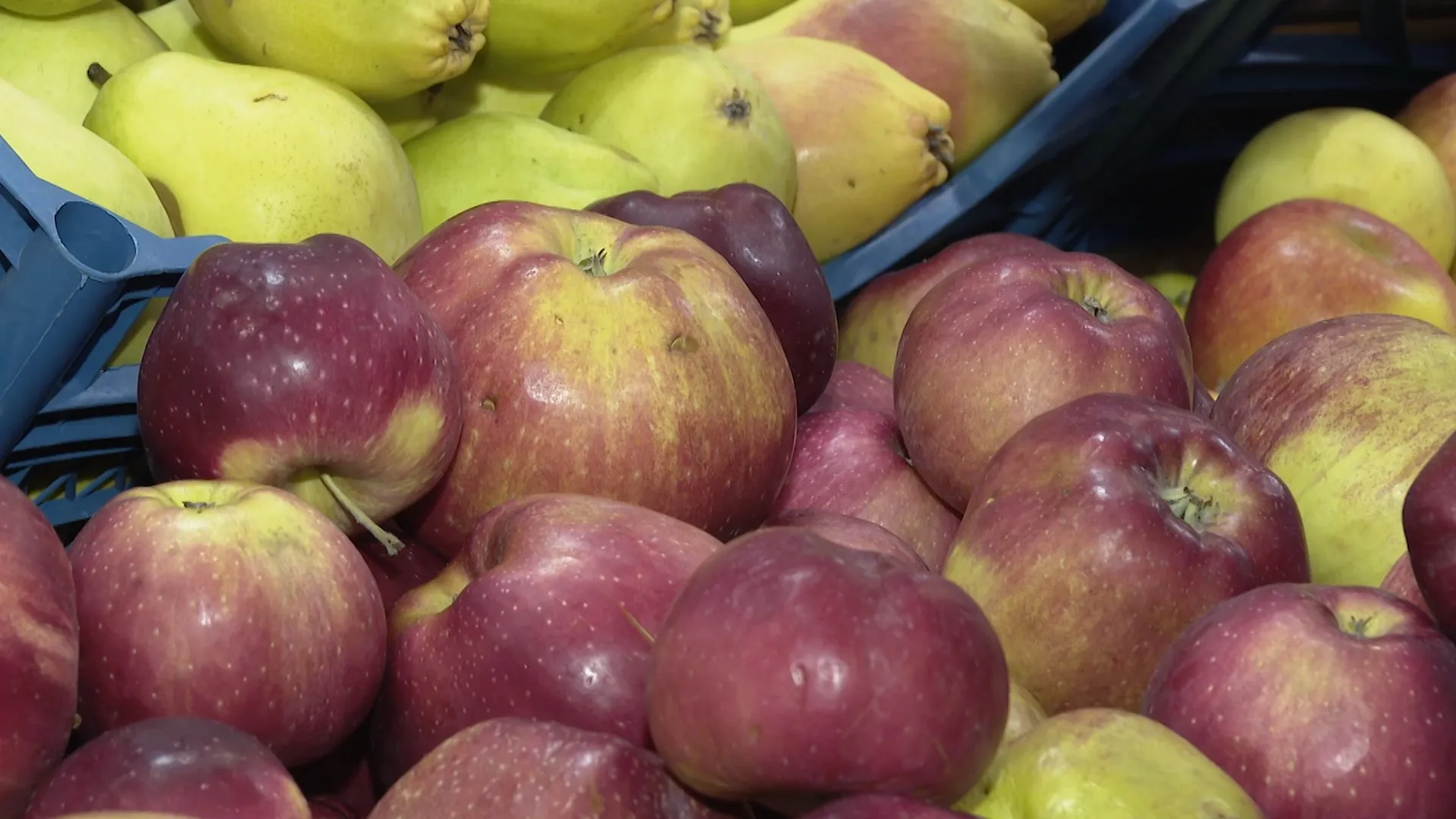Барнаульцев приглашают на продуктовые ярмарки