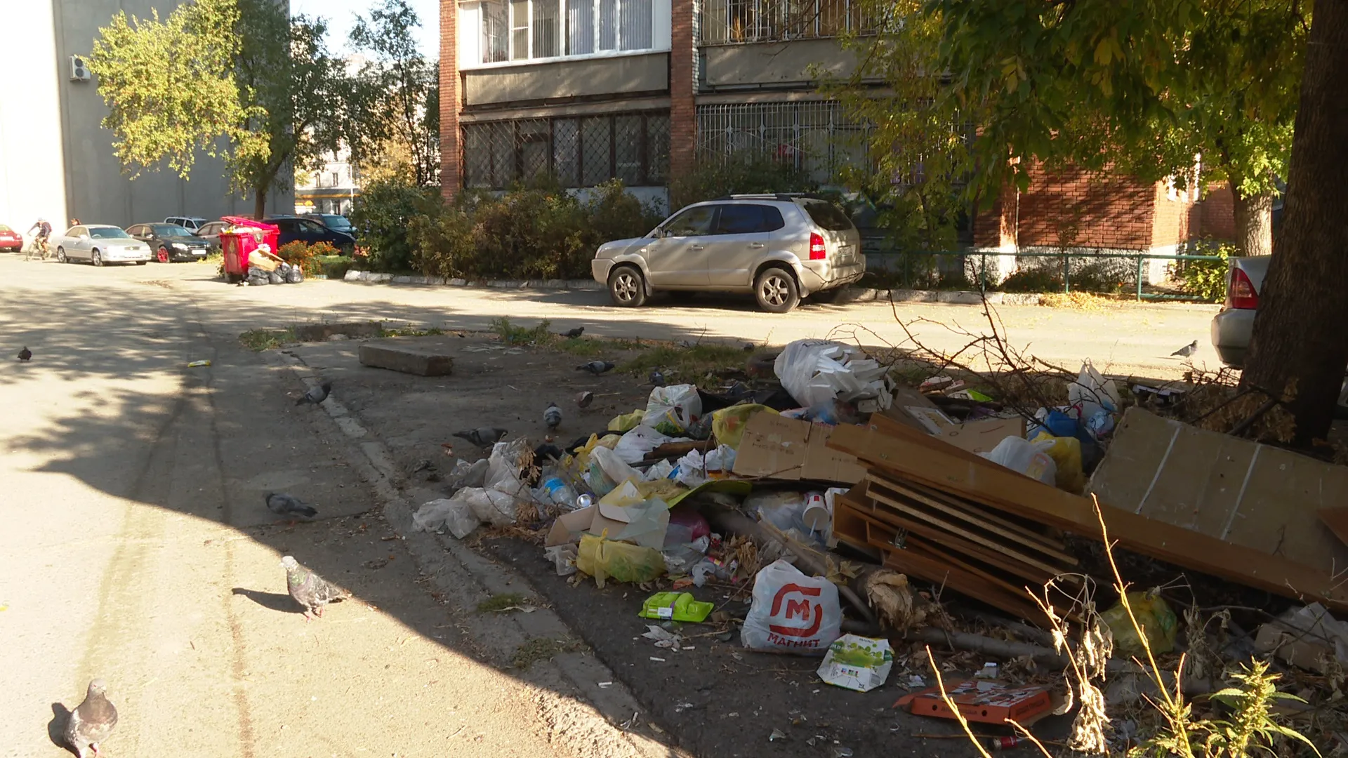 Несанкционированная свалка образовалась в центре Барнаула