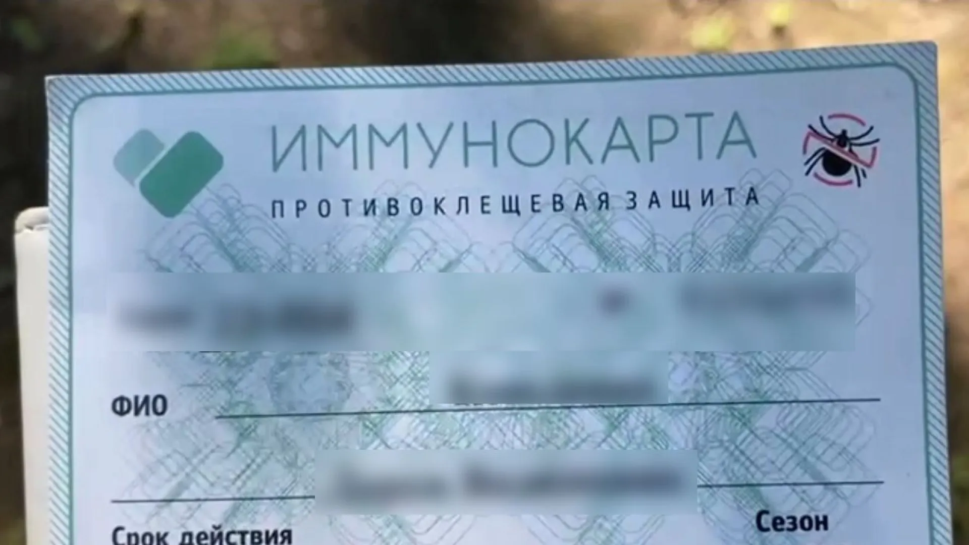 Укусил клещ: рассказываем жителям Алтайского края, что делать и куда обращаться