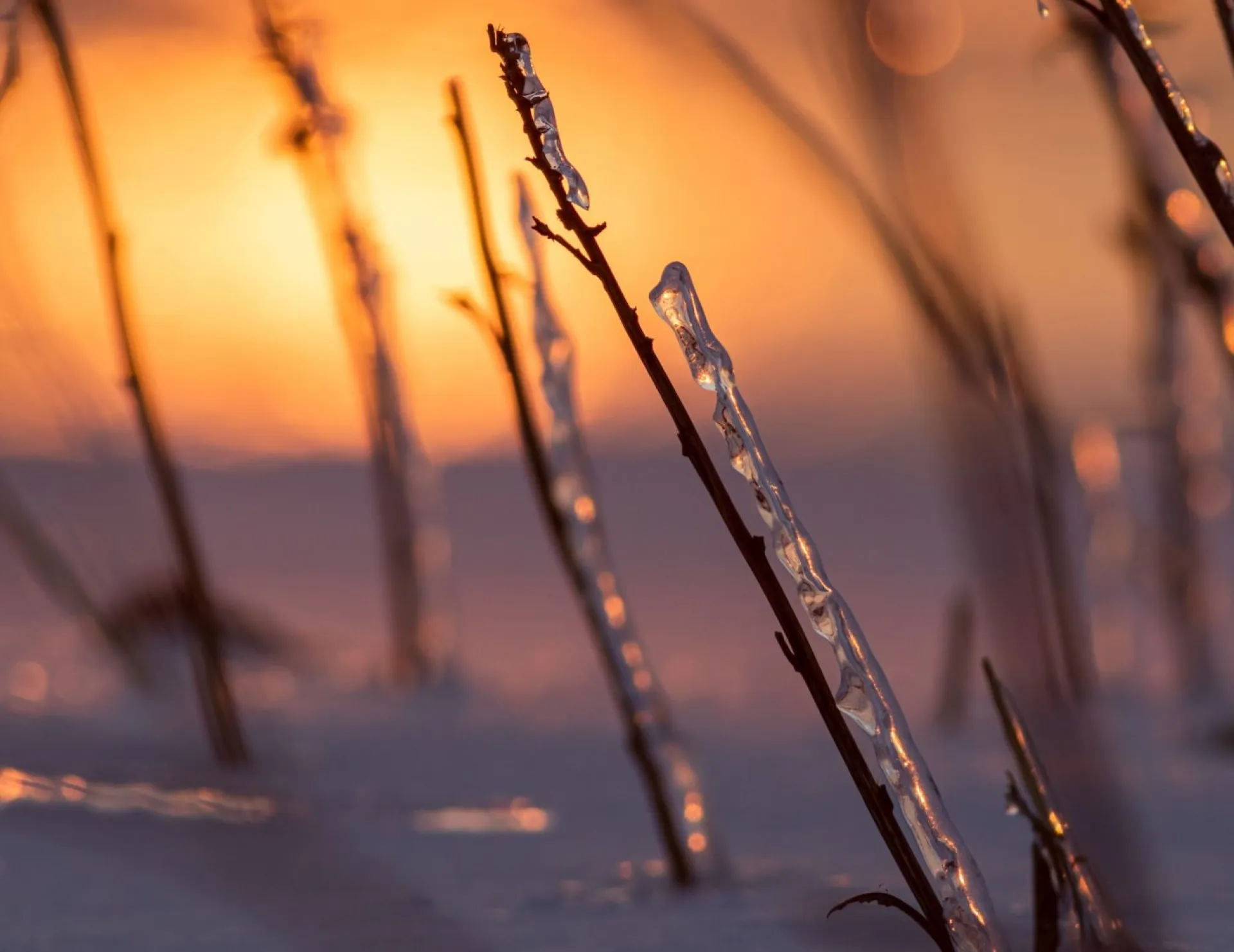 До +10: о погоде в Алтайском крае 27 марта До +10: о погоде в Алтайском крае 27 марта