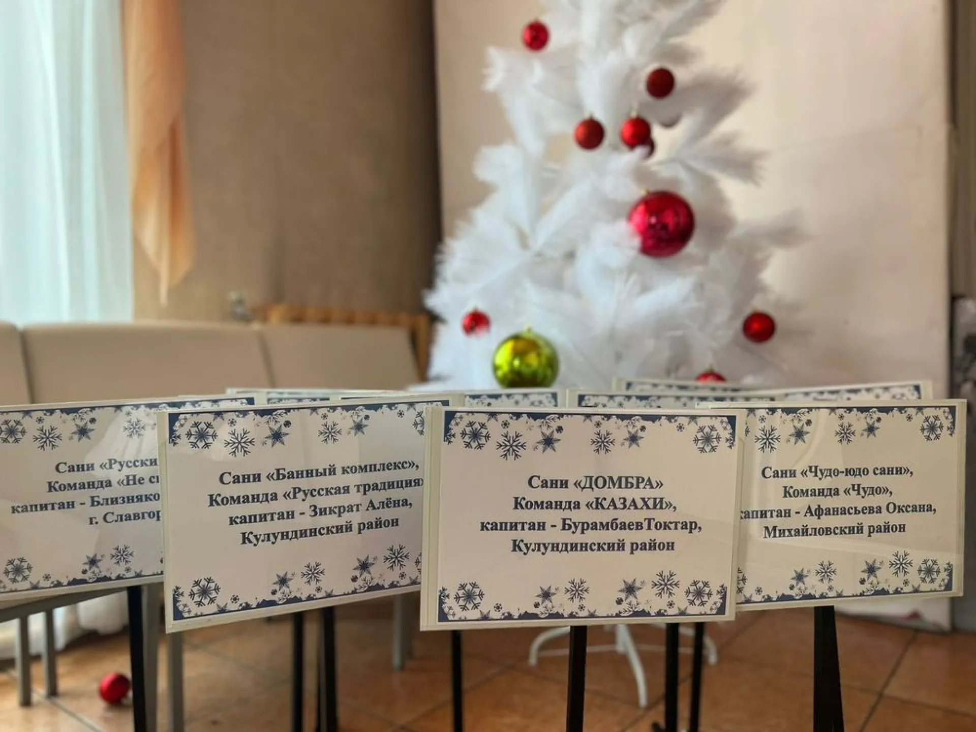В Кулундинском районе проходит фестиваль креативных санок «Сани.ДРАЙВ»