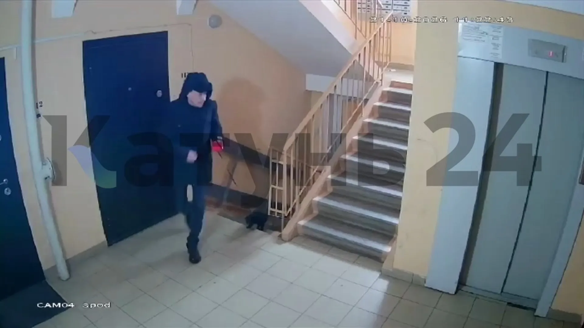 Неизвестный привязал собаку к лифту в Новоалтайске и скрылся