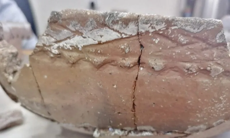 На Алтае нашли керамическую чашу возрастом около 2500 лет