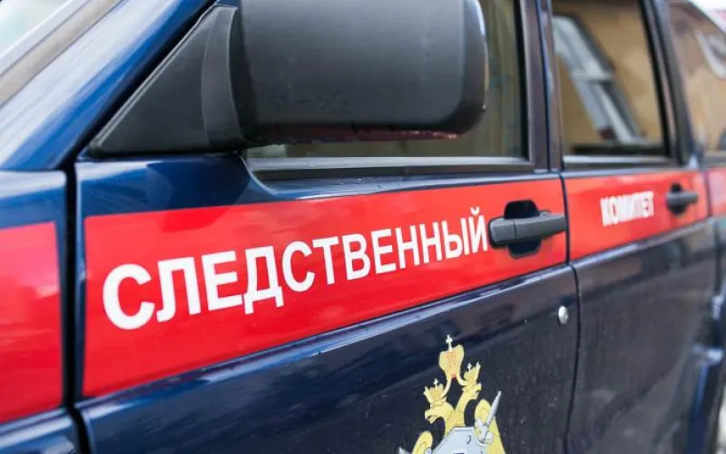 Девочку, которая жестоко избила сверстницу, будут судить в Алтайском крае 