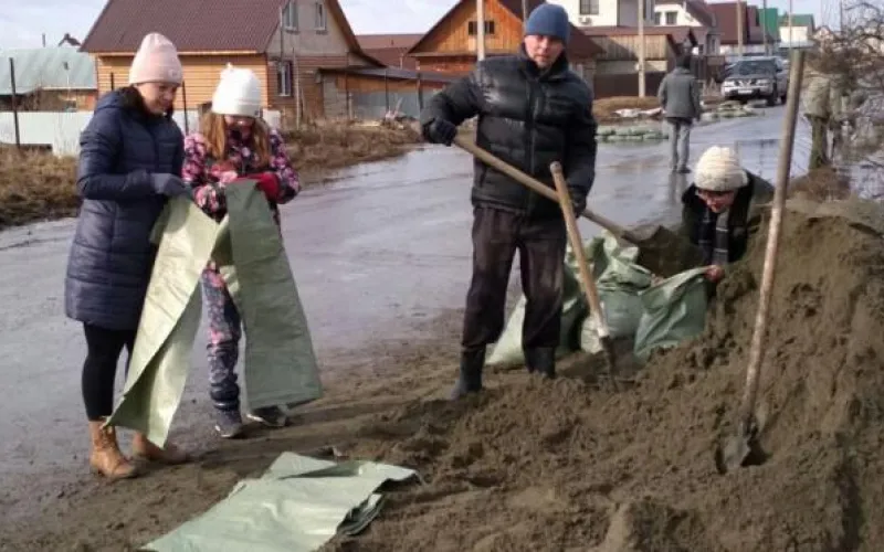 Искусственную дамбу построили в барнаульском поселке 