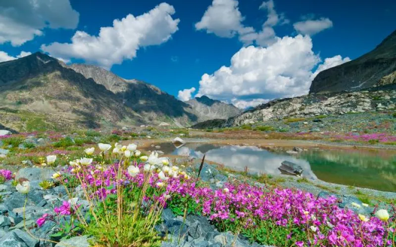 Об особенностях туризма в Алтайском крае рассказали на ГТРК «Татарстан»