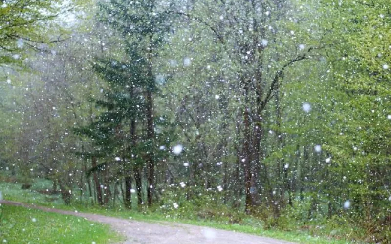 Похолодание и снегопад: о погоде в Алтайском крае 6 мая