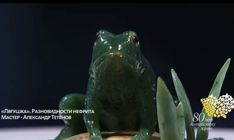 «Музейная редкость» - лягушка