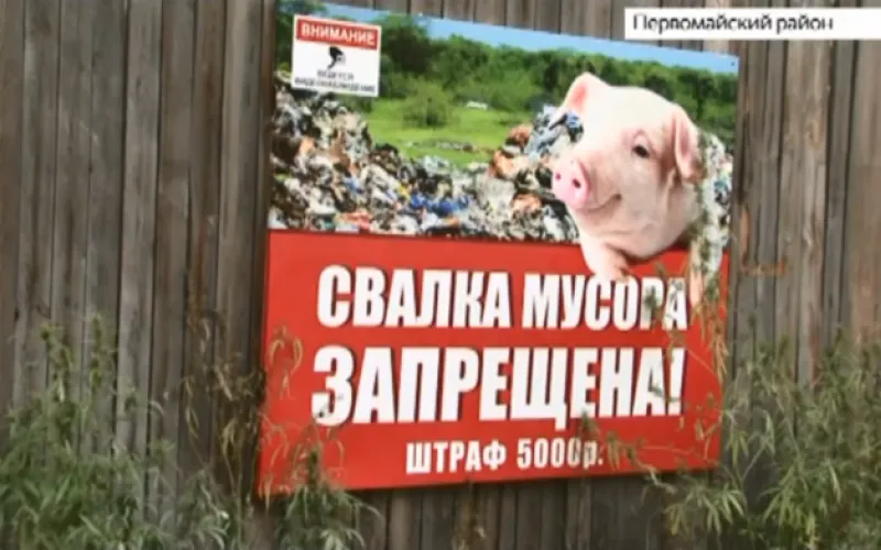 Несанкционированные свалки регулярно появляются в лесах Первомайского района