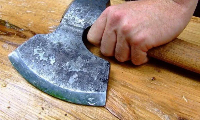 Сельский житель зарубил топором коллегу и обвинил работодателя в убийстве в Алтайском крае