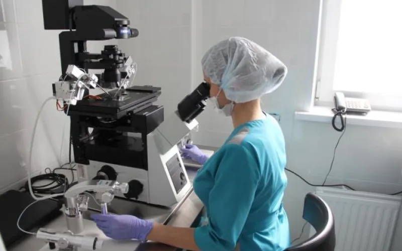 Почти 1,5 тысячи малышей «из пробирки» родились в Алтайском крае