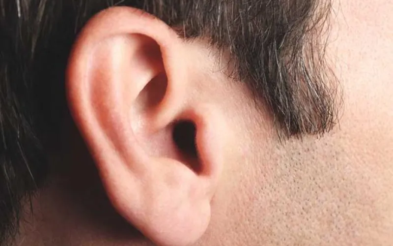 Барнаулец откусил ухо своему знакомому 