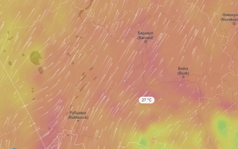 Почти +30: в Алтайский край идет мощная волна тепла