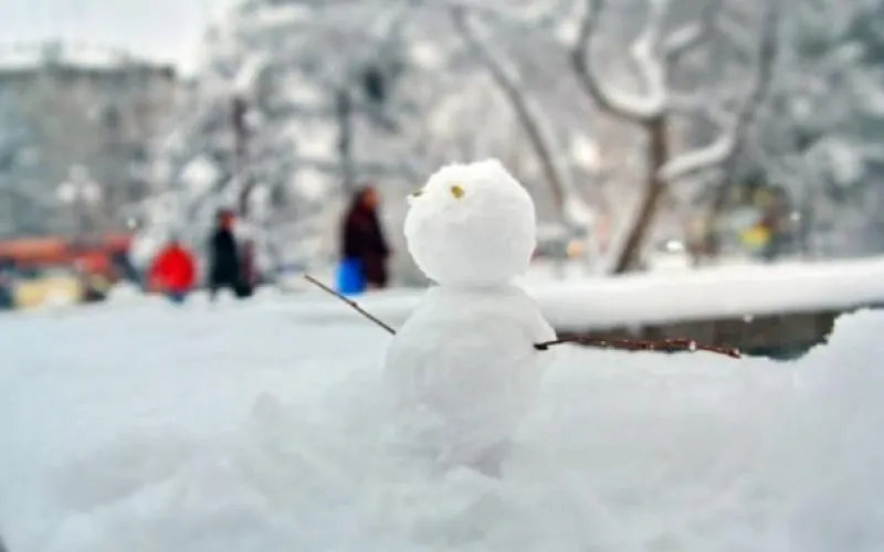 Циклон на подходе: о погоде в Алтайском крае 27 февраля