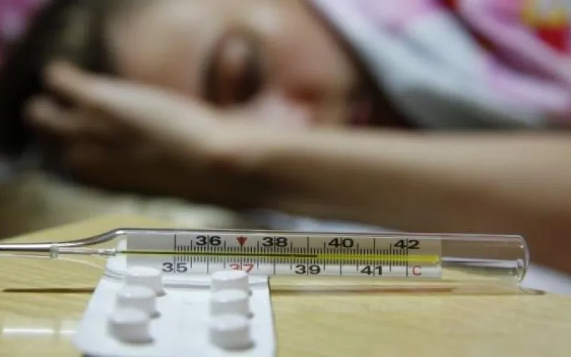 Эпидемия не за горами: в Алтайском крае работает горячая линия по вопросам заболеваемости ОРВИ и гриппом