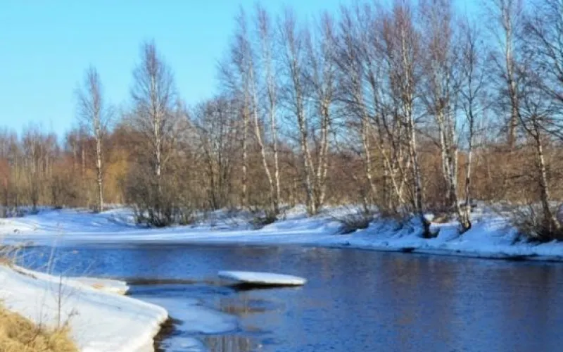 Какой будет погода в Международный женский день в Алтайском крае
