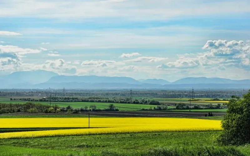 Бесплатное обучение для аграриев организуют в Алтайском крае