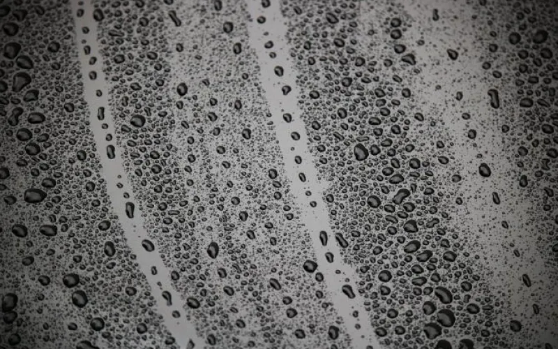 Штормовой ветер и сильные дожди: о погоде 8 мая