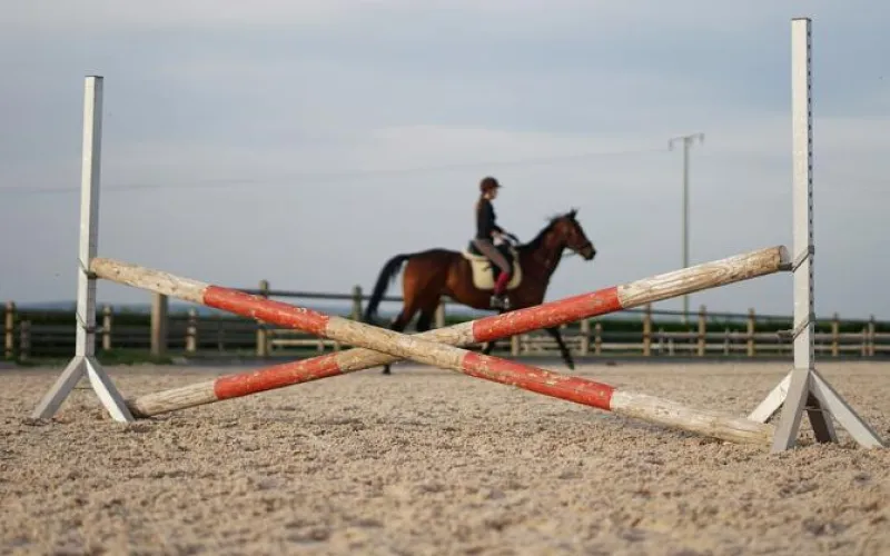 Барнаульский ипподром откроет летний сезон 20 мая