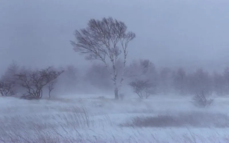 Оставайтесь дома: МЧС предупреждает о непогоде в Алтайском крае 