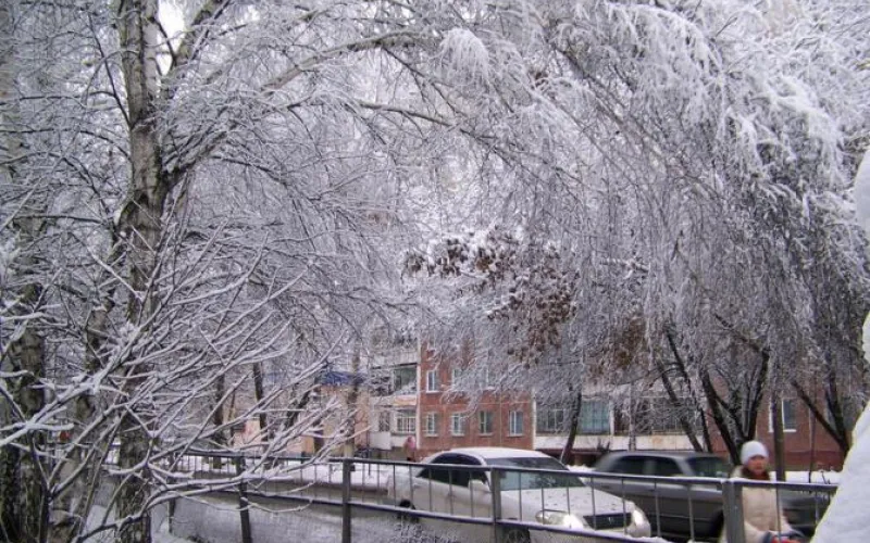 Накануне шторма: о погоде в Алтайском крае 20 февраля