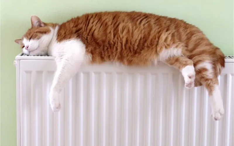 Сильные морозы в Алтайском крае: какой счёт придёт за отопление? 