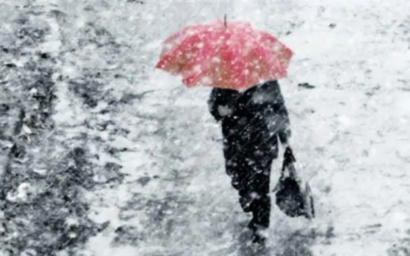 Дожди и +15: о погоде в Алтайском крае 23 марта