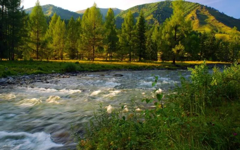 Ученые нескольких государств обсудят проблемы Большого Алтая