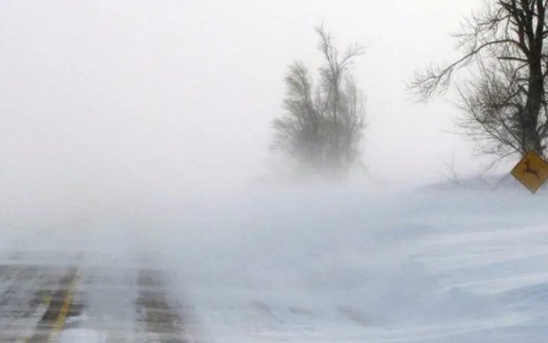 Стихия ударила по Алтаю: о погоде в регионе 31 марта