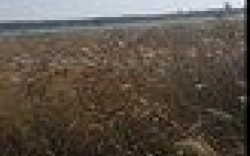 Река из отходов образовалась в селе Алтайского края