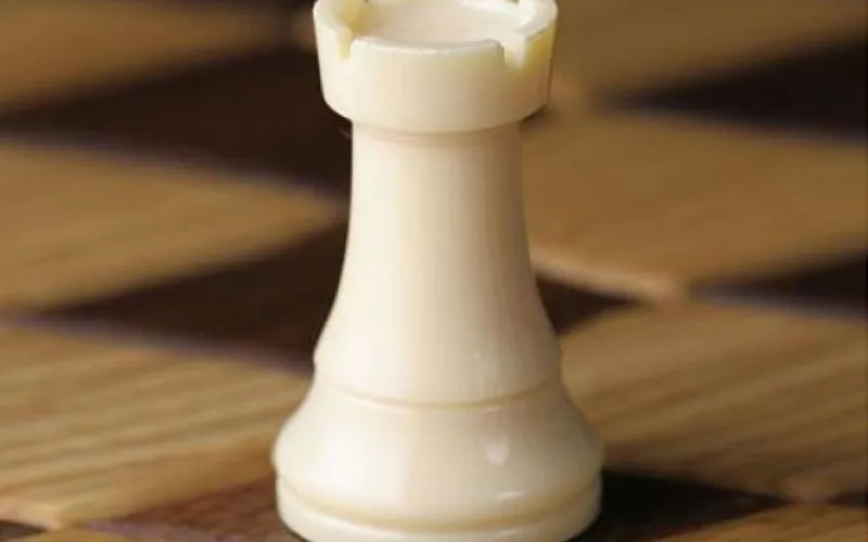 Финал шахматного турнира среди школьников стартовал в Алтайском крае 