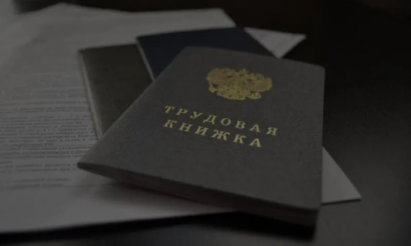 Стало известно, когда будут отменены бумажные трудовые книжки