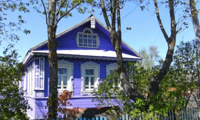 Дачного грабителя задержали в Алтайском крае
