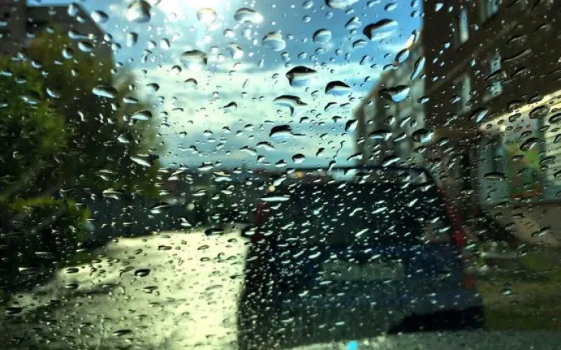 Становится лучше: о погоде в Алтайском крае 24 мая