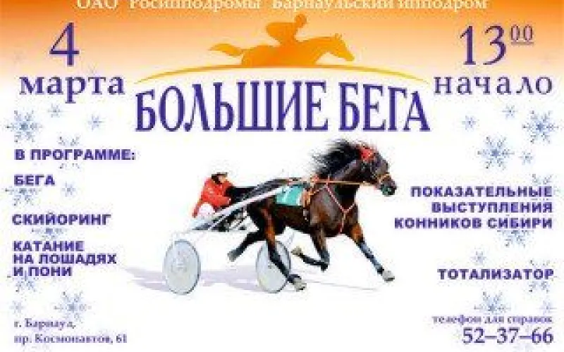 «Большие зимние бега» пройдут в Алтайском крае