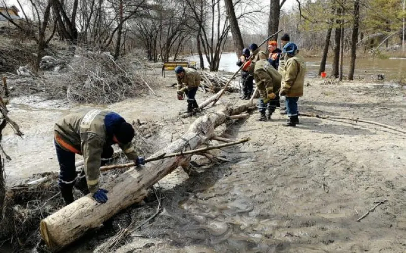 Барнаульский экопарк начали восстанавливать после паводка
